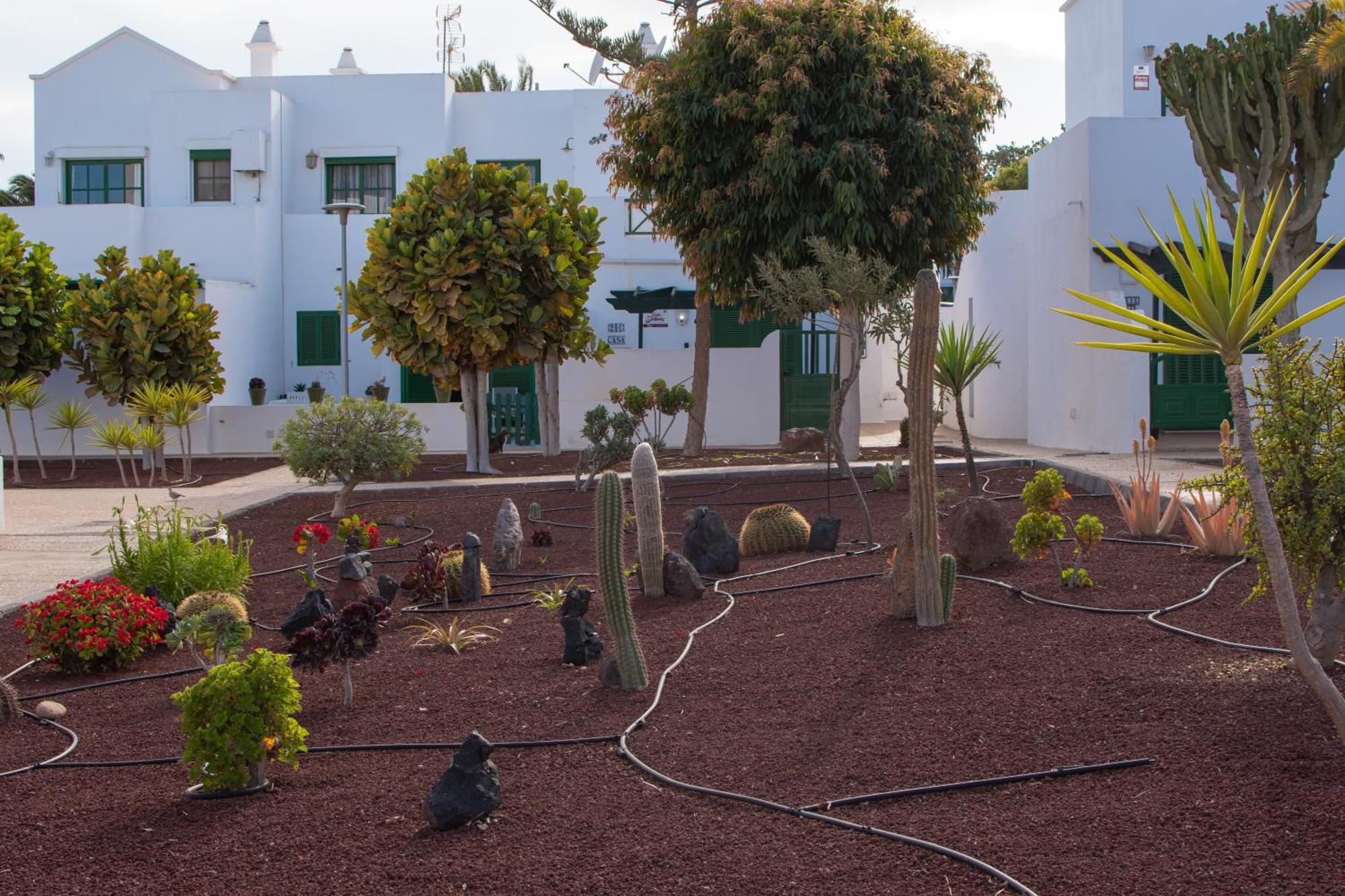 Casa Paz - Cozy 2 Bedroom Apartment Close To Dorada Beach Playa Blanca  Luaran gambar